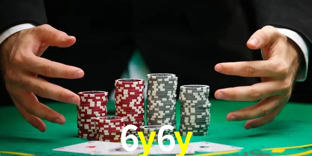 6y6y