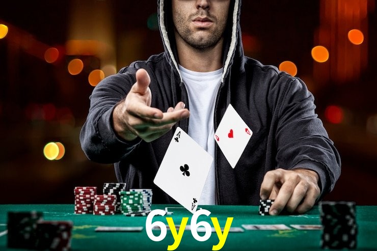 6y6y App Interface